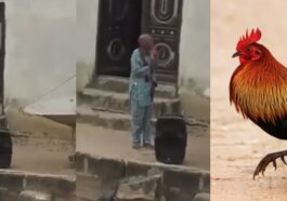 Pastor lays heavy curses on person who stole his N30K Christmas fowl