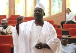 Ali Ndume, the senator representing Borno South