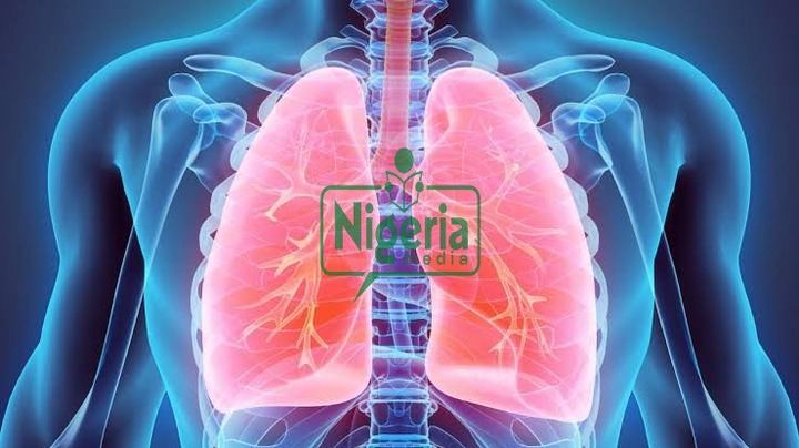 Your Lungs Are Not In Good Condition If You Experience The Following Signs and Symptoms