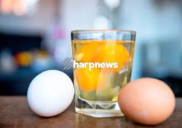 JUST IN: Drink Raw Egg Everyday And This Will Happen To Your Body