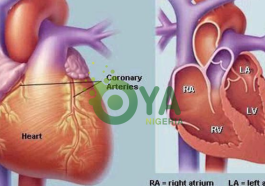 BREAKING: If Your Heart Is In Danger Your Body Will Give You These 11 Signs