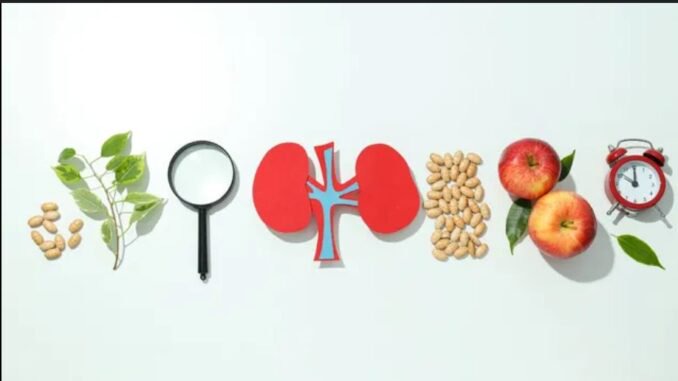Morning habits to keep your kidneys in good condition (BREAKING)