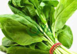 BREAKING: When You Eat Spinach Every Day This Is What Will Happen To Your body