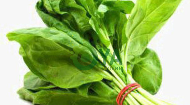BREAKING: When You Eat Spinach Every Day This Is What Will Happen To Your body BREAKING: When You Eat Spinach Every Day This Is What Will Happen To Your body