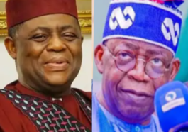 Fani-Kayode Response After Tinubu Said Nigeria Won't Bow To Foreign Agents Trying To Destabilize Nigeria