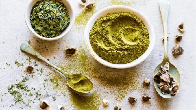 Blend Moringa Leaves and 7 (Bitter Kola, How To Use It To Cure These Diseases Blend Moringa Leaves and 7 (Bitter Kola, How To Use It To Cure These Diseases