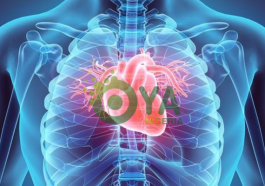JUST IN: Early Symptoms Of Kidney Failure
