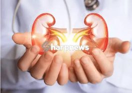 Eight (8) Warning Signs Your Body May Show When Your Kidneys Are at Risk