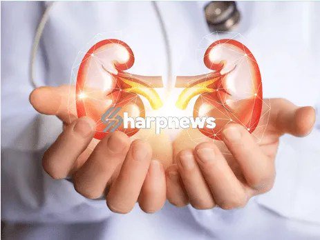 Eight (8) Warning Signs Your Body May Show When Your Kidneys Are at Risk