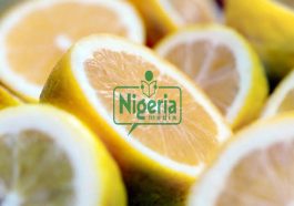 HEALTH: How Taking Lime Water Can Flush Infections Out Of Your Body