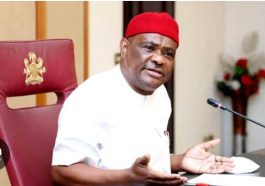 Only someone like Dele Momodu, who does not have knowledge of anything apart from his stomach - Wike
