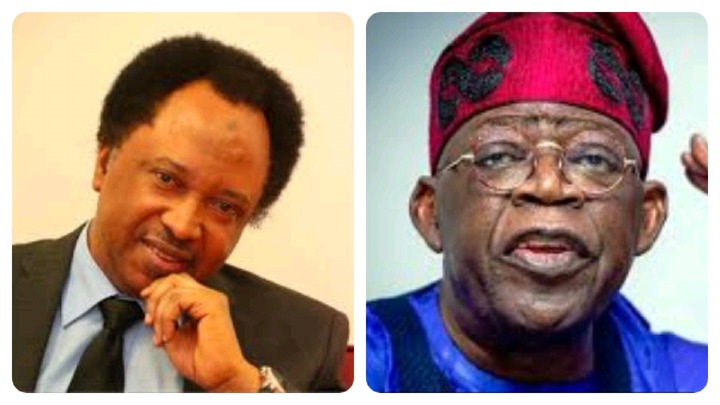 Shehu Sani Reacts As President Tinubu Bans Importation of Foreign Goods to Boost Local Production Shehu Sani Reacts As President Tinubu Bans Importation of Foreign Goods to Boost Local Production