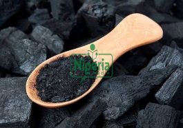 Five Activated Charcoal Uses That May Just Change Your Life