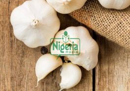 JUST IN: Healthy Benefits Of Garlic That Many People Are Not Aware Of