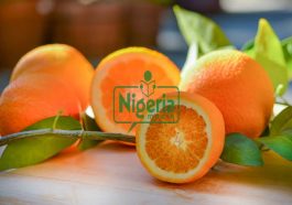 These 8 Good Reasons To Eat An Orange Every Day