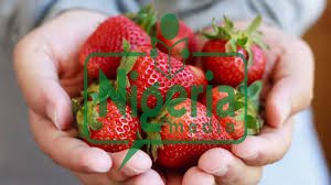 Following 5 Best Sugar-Free Foods You Should Eat More Often Following 5 Best Sugar-Free Foods You Should Eat More Often