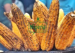 4 (Common Diseases That Can Be Managed By Eating Roasted Corn Regularly