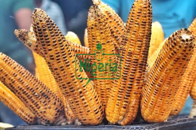 4 (Common Diseases That Can Be Managed By Eating Roasted Corn Regularly