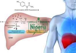 If You Love Your Kidney And Liver, You Will Stop Taking These Drugs In Excess
