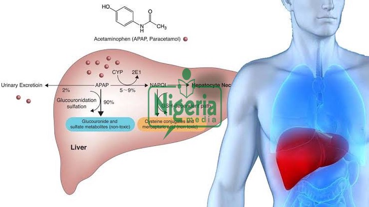 If You Love Your Kidney And Liver, You Will Stop Taking These Drugs In Excess