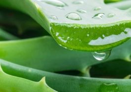 Four Natural Ways To Get Rid Of Whiteheads On The Nose