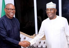 2027: We're Ready To Join Atiku And Peter Obi Coalition, Nigerians Will Soon Hear More About It—NNPP Declear's