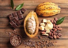 Reason Why You should Drink Cocoa Every Day