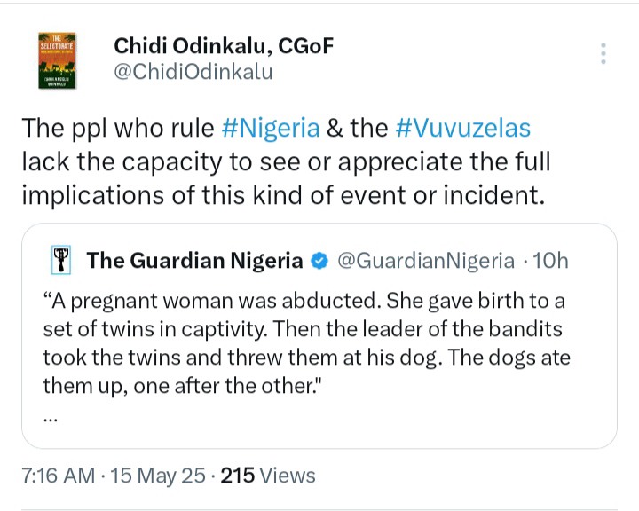 Chidi Odinkalu Reacts After An Abducted Pregnant Woman's Twin Babies Were Fed To Dogs By Bandits