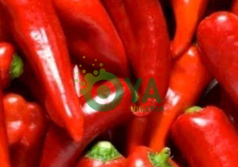 Diseases Cured By Chili Pepper That No One Will Ever Tell You About