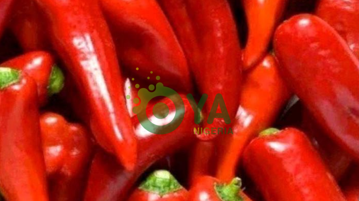 Diseases Cured By Chili Pepper That No One Will Ever Tell You About Diseases Cured By Chili Pepper That No One Will Ever Tell You About