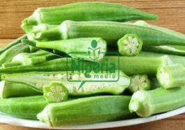 Effects Of Eating Okra On Your Heart, Bones And Blood Sugar Level