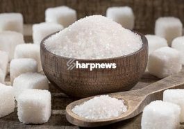 BREAKING: Foods That Flush out Sugar From Your Body And Prevent Diabetes