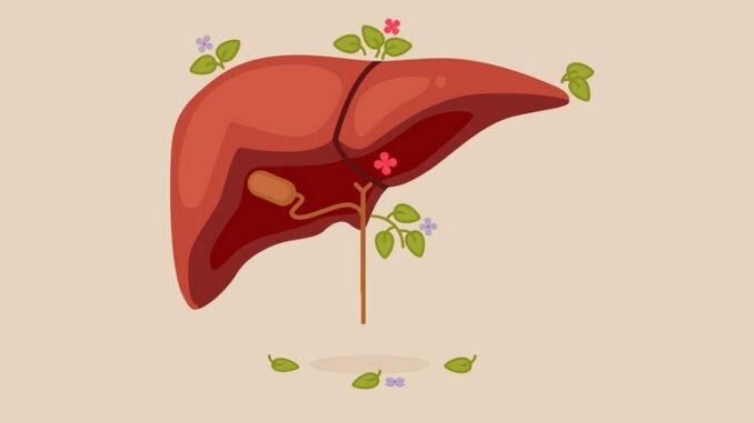 What is Primary Liver Cancer? 5 Causes and Prevention Tips to Know What is Primary Liver Cancer? 5 Causes and Prevention Tips to Know
