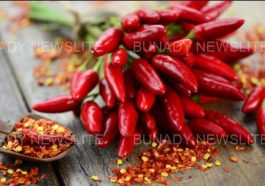JUST IN: Diseases Cured By Pilipili That No One Will Ever Tell You About (Chili Pepper)