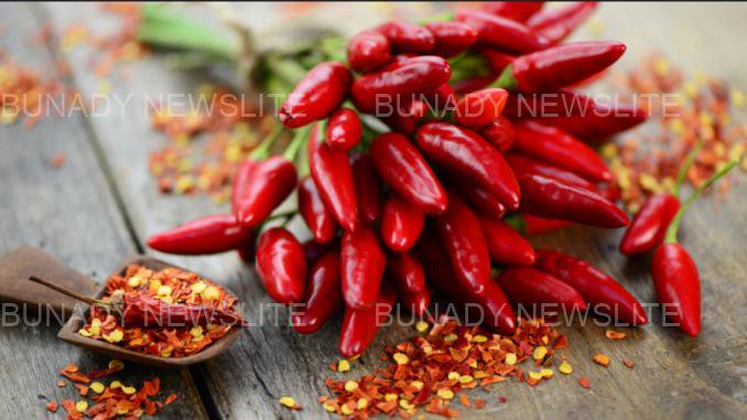 JUST IN: Diseases Cured By Pilipili That No One Will Ever Tell You About (Chili Pepper) JUST IN: Diseases Cured By Pilipili That No One Will Ever Tell You About (Chili Pepper)