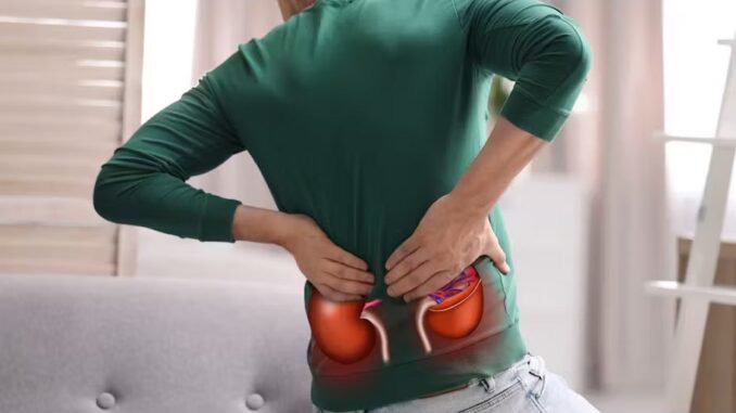 5 common habits that are harming your kidneys 5 common habits that are harming your kidneys