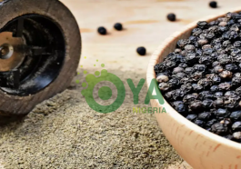 BREAKING: Honey and black pepper is all you need: Here are the sicknesses cured by honey and black pepper.