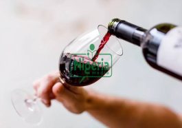 HEALTH: Is Drinking Alcohol A Sin? Biblical Truth About Alcohol Every Christian Should Know