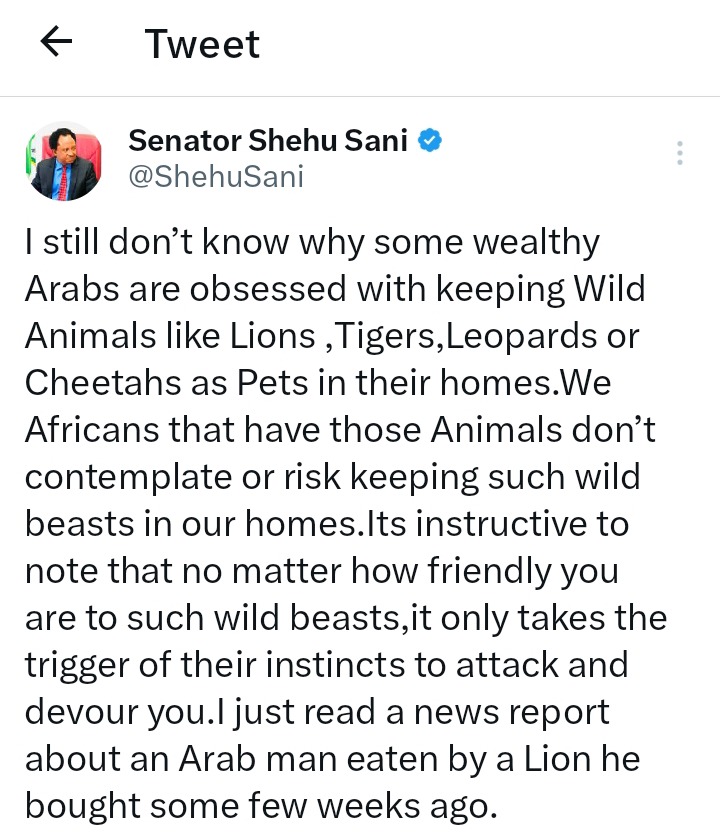 Senator Shehu Sani reacts after Lion an Arab man bought with his money, killed him after few weeks Senator Shehu Sani reacts after Lion an Arab man bought with his money, killed him after few weeks