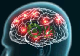 10 (ten) Techniques For Training Your Brain To Remember Almost Anything