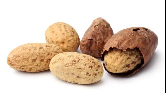 BREAKING: Disease Humans Can Treat By Just Chewing Bitter Kola BREAKING: Disease Humans Can Treat By Just Chewing Bitter Kola